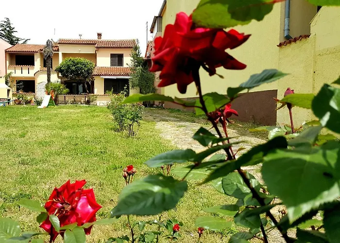 Apartman Apartmani Koin Medulin