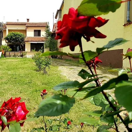 Apartman Koin Medulin
